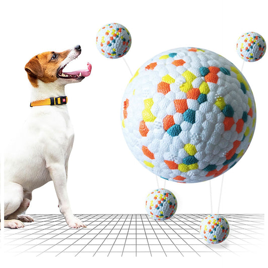 Interactive Dog Molar Ball - Chew Toy for Training, Teeth Cleaning & Bite-Resistant Fun - Valgo