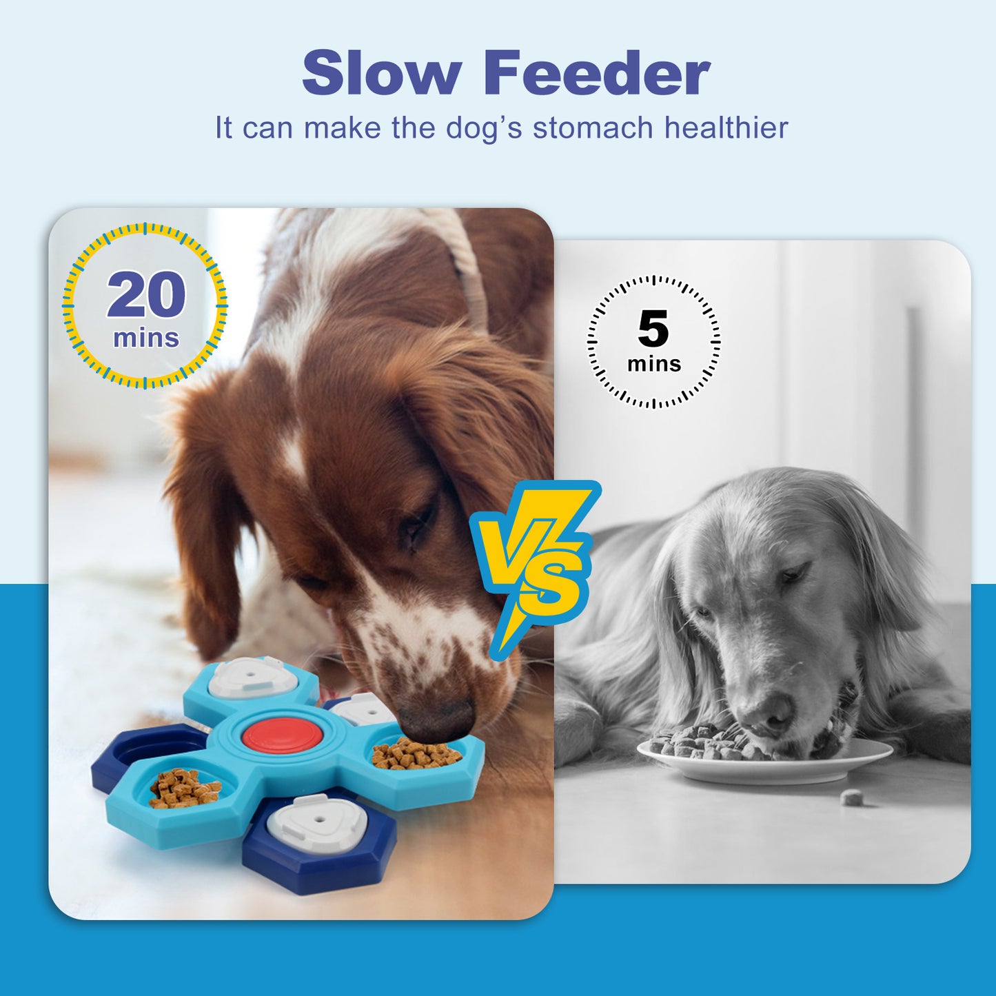 4-Layer Interactive Slow Feeder Puzzle Bowl – Fun & Healthy Eating for Dogs - Valgo