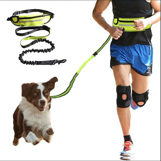 Hands-Free Dog Leash – Shock Absorbing Bungee Belt with Phone Pocket & Water Bottle Holder for Large Dogs - Valgo