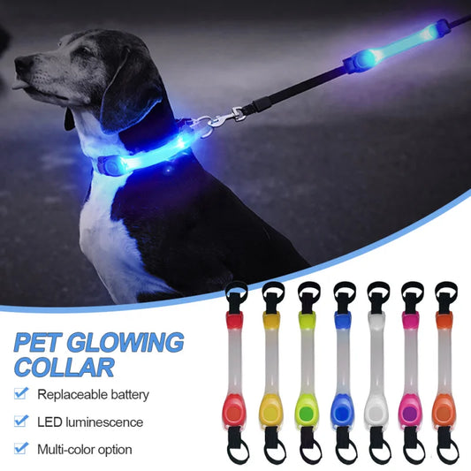 LED Dog Collar & Leash Set – Waterproof, Anti-Lost, Safety Light for Outdoor Adventures - Valgo