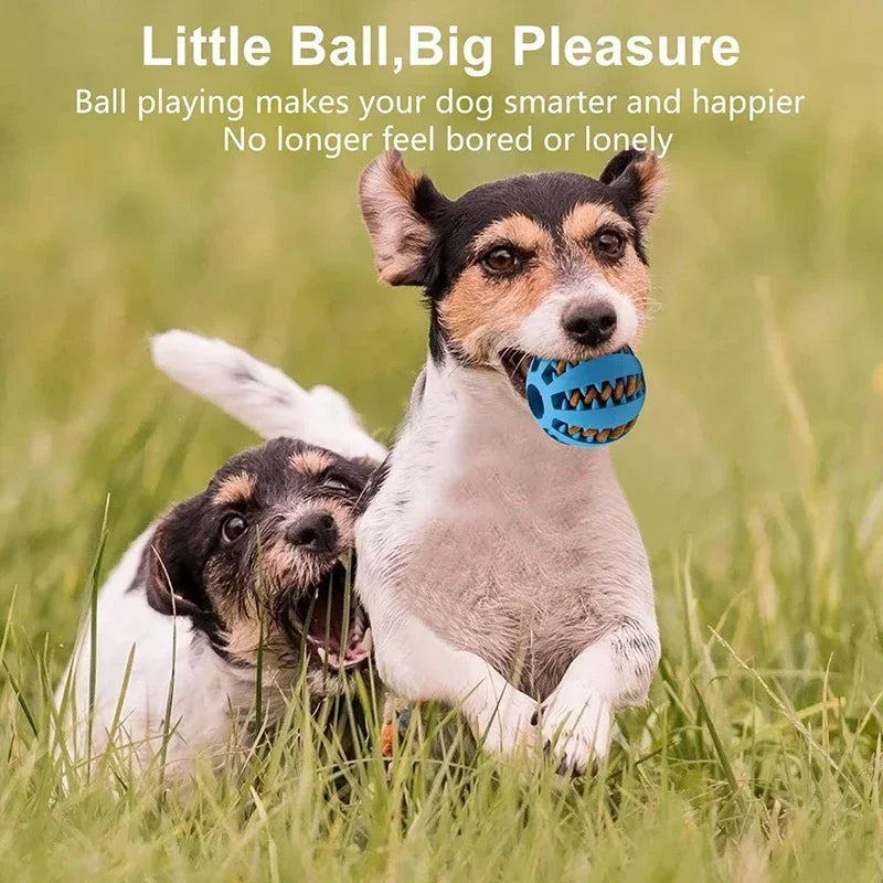 Durable Dog Toy Ball – Non-Toxic, Bite-Resistant Interactive Chew & Food Feeder for Puppies and Small Dogs - Valgo