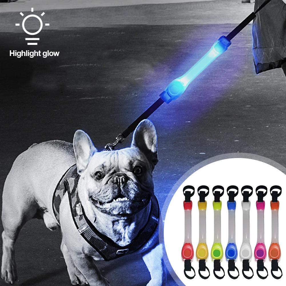 LED Dog Collar & Leash Set – Waterproof, Anti-Lost, Safety Light for Outdoor Adventures - Valgo