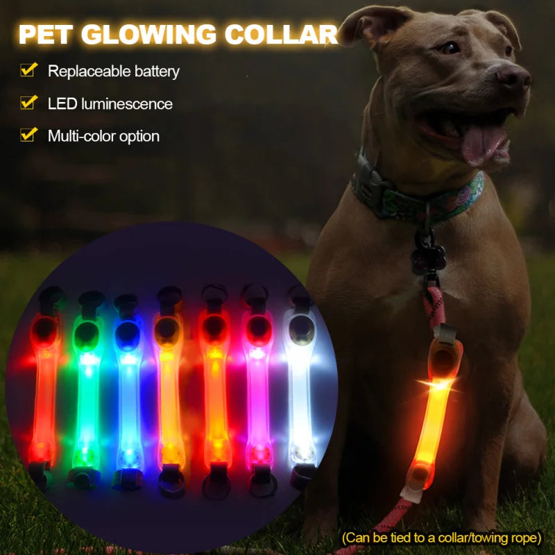 LED Dog Collar & Leash Set – Waterproof, Anti-Lost, Safety Light for Outdoor Adventures - Valgo