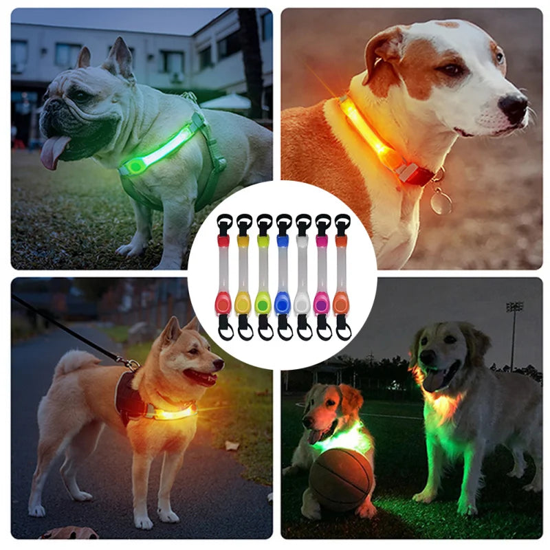 LED Dog Collar & Leash Set – Waterproof, Anti-Lost, Safety Light for Outdoor Adventures - Valgo